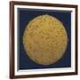 Antique Gold Map Of The Night Sky-Tina Lavoie-Framed Giclee Print