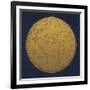 Antique Gold Map Of The Night Sky-Tina Lavoie-Framed Giclee Print