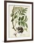 Antique Greenery V-Unknown-Framed Art Print