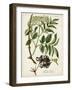 Antique Greenery V-Unknown-Framed Art Print