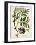 Antique Greenery V-Unknown-Framed Art Print