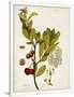 Gramercy White