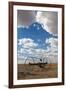 Antique Hay Raker, Prairie Homestead, Cactus Flat, South Dakota, USA-Walter Bibikow-Framed Photographic Print