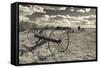 Antique Hay Raker, Prairie Homestead, Cactus Flat, South Dakota, USA-Walter Bibikow-Framed Stretched Canvas