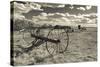 Antique Hay Raker, Prairie Homestead, Cactus Flat, South Dakota, USA-Walter Bibikow-Stretched Canvas