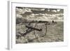 Antique Hay Raker, Prairie Homestead, Cactus Flat, South Dakota, USA-Walter Bibikow-Framed Photographic Print