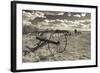 Antique Hay Raker, Prairie Homestead, Cactus Flat, South Dakota, USA-Walter Bibikow-Framed Photographic Print