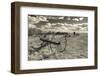 Antique Hay Raker, Prairie Homestead, Cactus Flat, South Dakota, USA-Walter Bibikow-Framed Photographic Print