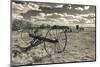 Antique Hay Raker, Prairie Homestead, Cactus Flat, South Dakota, USA-Walter Bibikow-Mounted Photographic Print