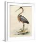 Antique Heron II-null-Framed Giclee Print