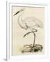 Antique Heron III-null-Framed Art Print