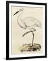 Antique Heron III-null-Framed Art Print