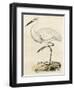 Antique Heron III-null-Framed Art Print