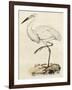 Antique Heron III-null-Framed Art Print