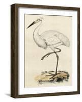 Antique Heron III-null-Framed Art Print