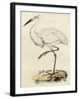 Antique Heron III-null-Framed Art Print