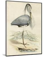 Antique Heron IV-null-Mounted Art Print