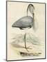 Antique Heron IV-null-Mounted Art Print