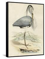 Antique Heron IV-null-Framed Stretched Canvas