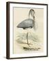 Antique Heron IV-null-Framed Art Print