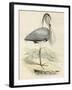 Antique Heron IV-null-Framed Art Print