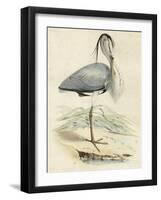 Antique Heron IV-null-Framed Art Print