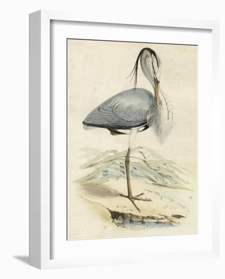 Antique Heron IV-null-Framed Art Print