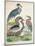 Antique Heron & Waterbirds I-Unknown-Mounted Art Print