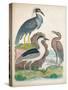 Antique Heron & Waterbirds I-Unknown-Stretched Canvas