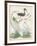 Antique Heron & Waterbirds III-Unknown-Framed Art Print