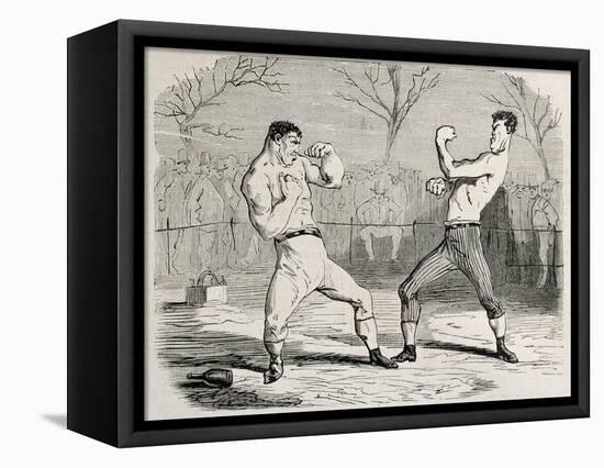 Antique Humorous Illustration Of A Boxing Match Beginning-marzolino-Framed Stretched Canvas