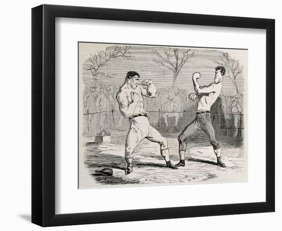 Antique Humorous Illustration Of A Boxing Match Beginning-marzolino-Framed Art Print