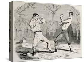 Antique Humorous Illustration Of A Boxing Match Beginning-marzolino-Stretched Canvas