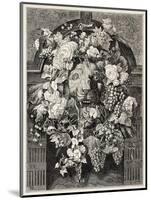 Antique Illustration Of A Mascaron Framed By Flowers: Architectural Decorative Element-marzolino-Mounted Art Print