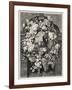 Antique Illustration Of A Mascaron Framed By Flowers: Architectural Decorative Element-marzolino-Framed Art Print