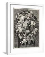 Antique Illustration Of A Mascaron Framed By Flowers: Architectural Decorative Element-marzolino-Framed Art Print