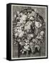 Antique Illustration Of A Mascaron Framed By Flowers: Architectural Decorative Element-marzolino-Framed Stretched Canvas