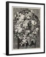 Antique Illustration Of A Mascaron Framed By Flowers: Architectural Decorative Element-marzolino-Framed Art Print