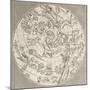 Antique Illustration Of Celestial Planisphere (Northern Hemisphere) With Constellations-marzolino-Mounted Art Print