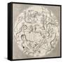 Antique Illustration Of Celestial Planisphere (Southern Hemisphere) With Constellations-marzolino-Framed Stretched Canvas