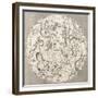 Antique Illustration Of Celestial Planisphere (Southern Hemisphere) With Constellations-marzolino-Framed Premium Giclee Print