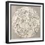 Antique Illustration Of Celestial Planisphere (Southern Hemisphere) With Constellations-marzolino-Framed Premium Giclee Print