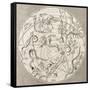 Antique Illustration Of Celestial Planisphere (Southern Hemisphere) With Constellations-marzolino-Framed Stretched Canvas