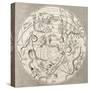 Antique Illustration Of Celestial Planisphere (Southern Hemisphere) With Constellations-marzolino-Stretched Canvas