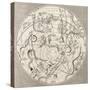 Antique Illustration Of Celestial Planisphere (Southern Hemisphere) With Constellations-marzolino-Stretched Canvas