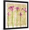 Antique Iris I-Christine Zalewski-Framed Premium Giclee Print