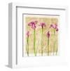 Antique Iris I-Christine Zalewski-Framed Art Print