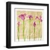 Antique Iris I-Christine Zalewski-Framed Art Print