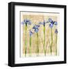 Antique Iris II-Christine Zalewski-Framed Art Print