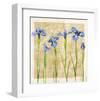 Antique Iris II-Christine Zalewski-Framed Art Print